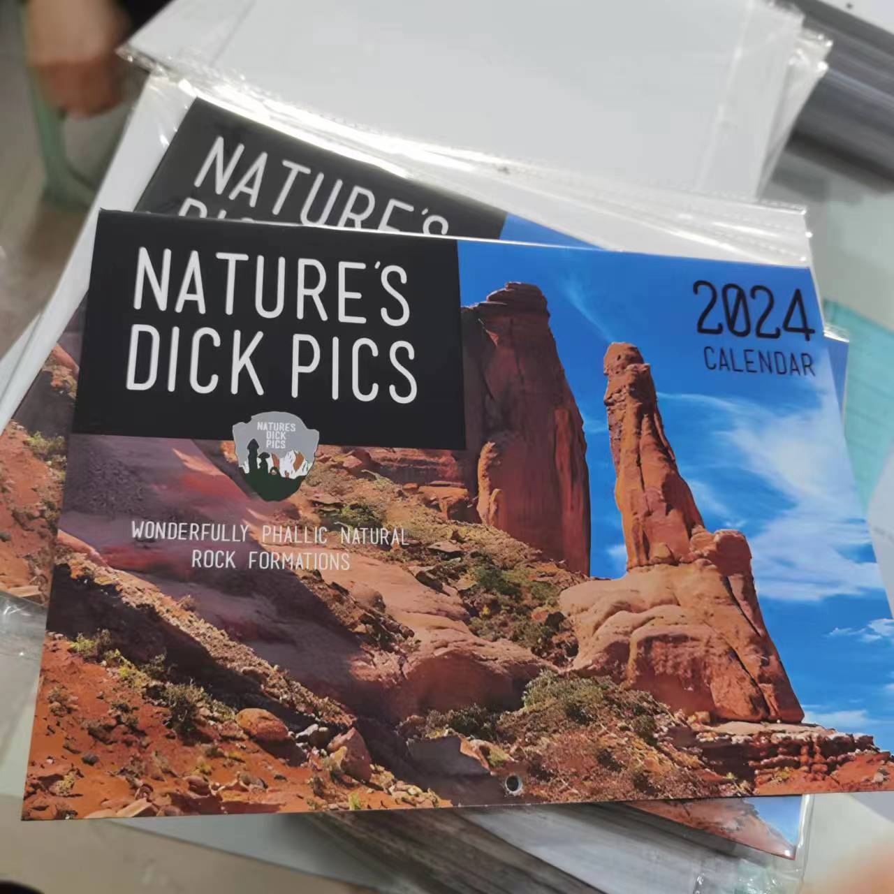 Quirky Cat Calendar Collection