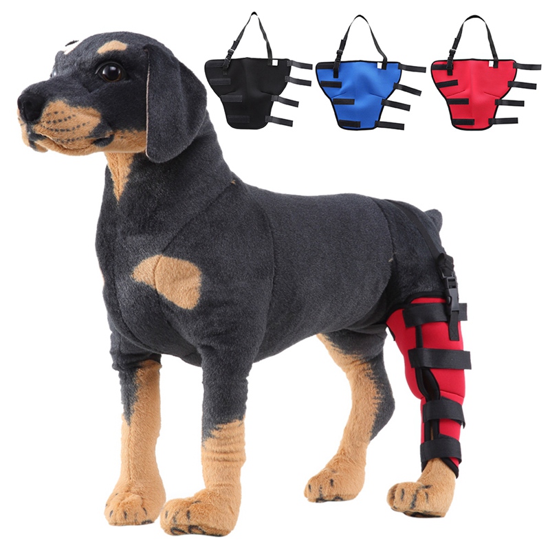Recovery Support Harness for Dogs